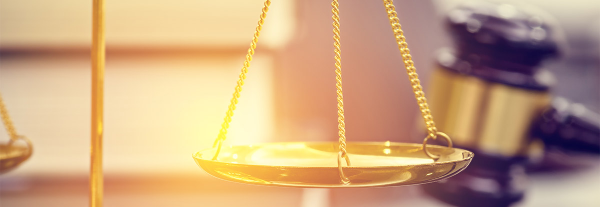 Banner Slide 1